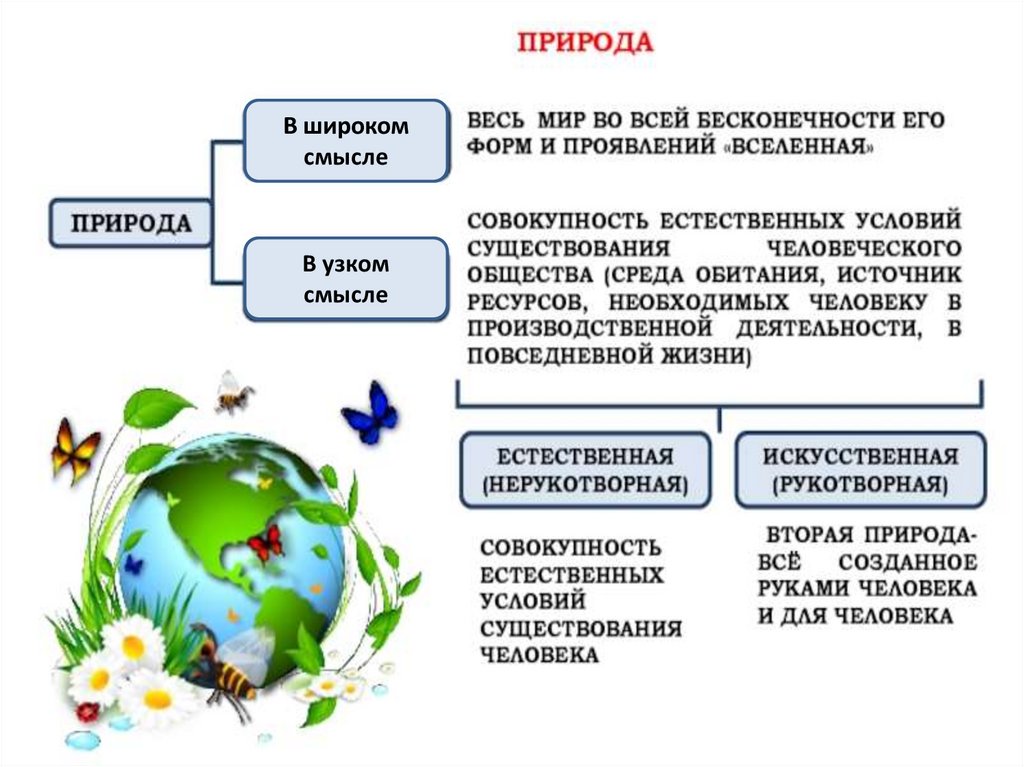 Роль природы в обществе