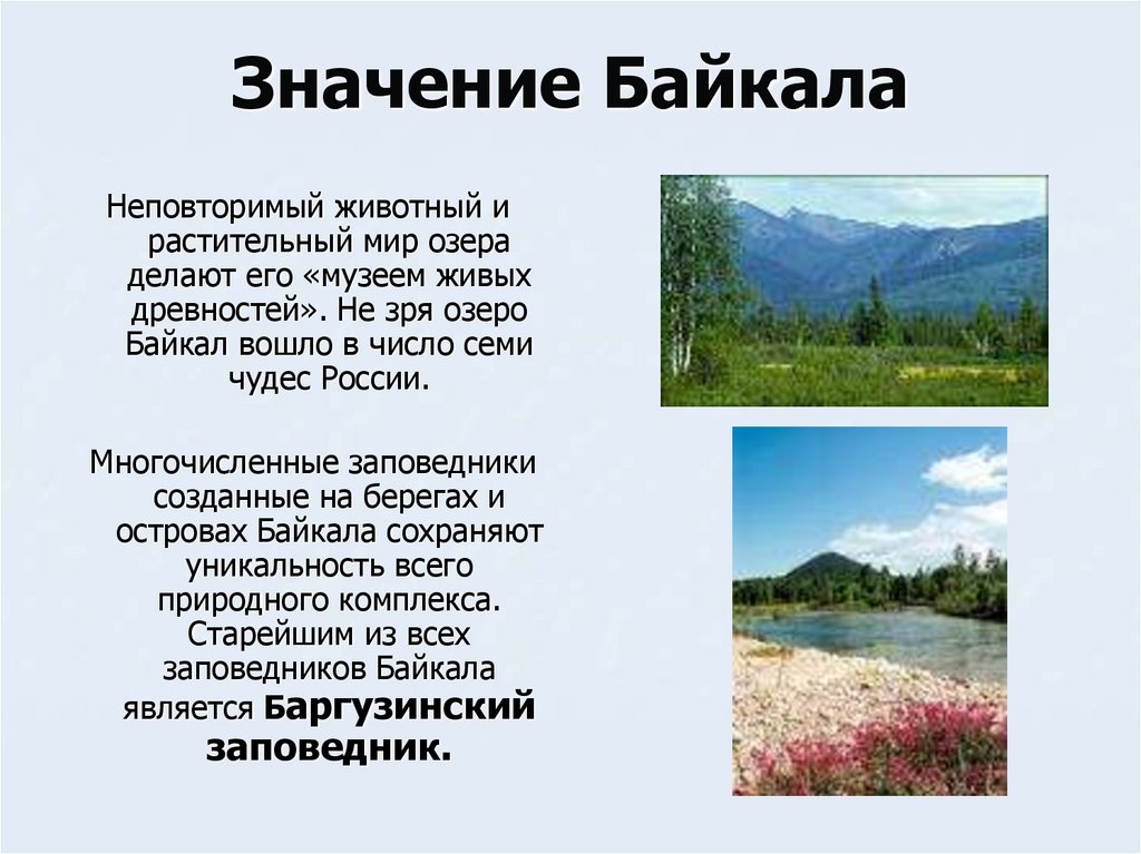 Какие значение имеют озера. Растительный мир Байкала. Озеро Байкал растительный и животный мир. Растительность озера Байкал. Байкальский растительный мир.