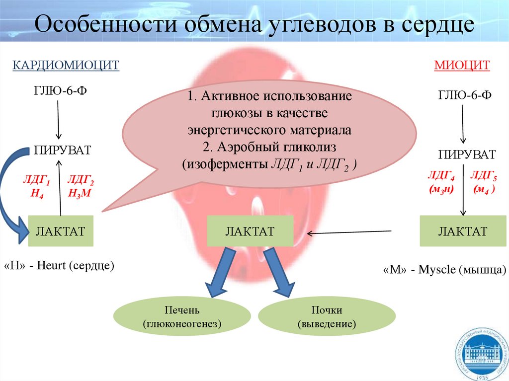 Характеристики обмена