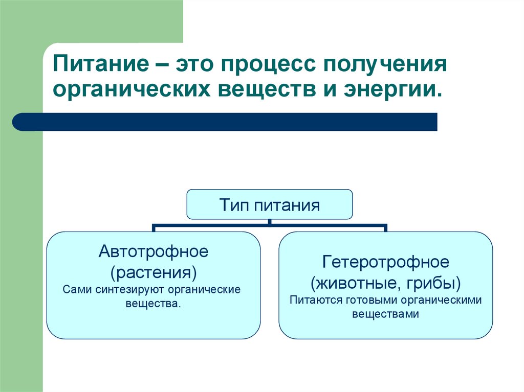 Тип питания низших растений