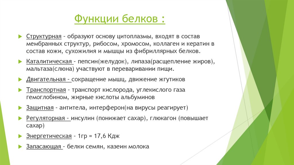 В чем отличие живого от неживого в структурном плане