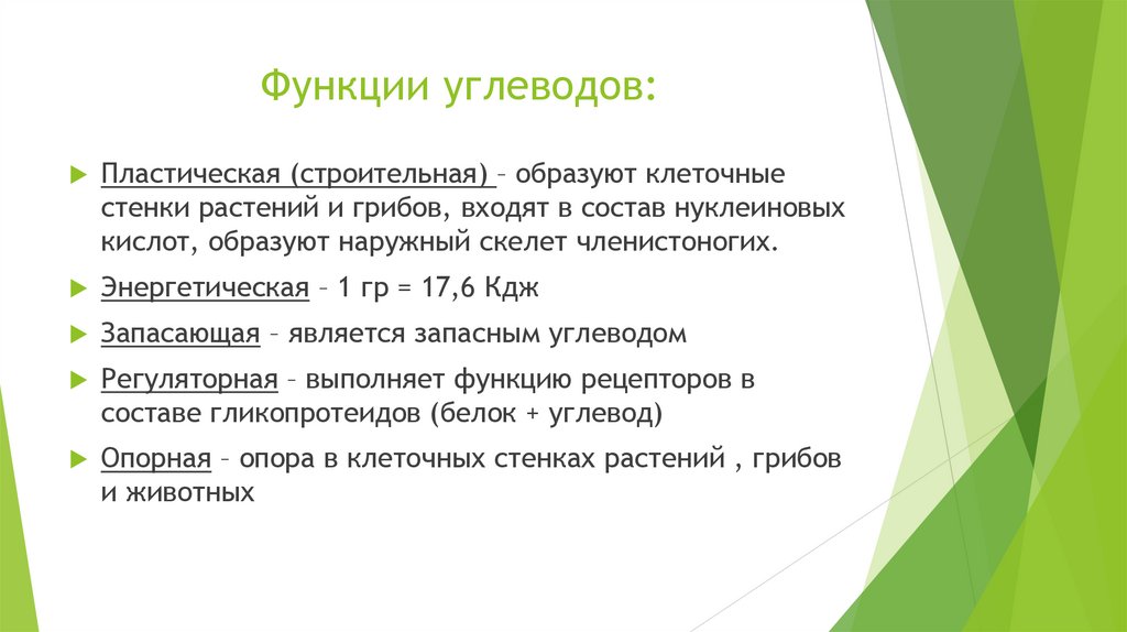 В чем отличие живого от неживого в структурном плане