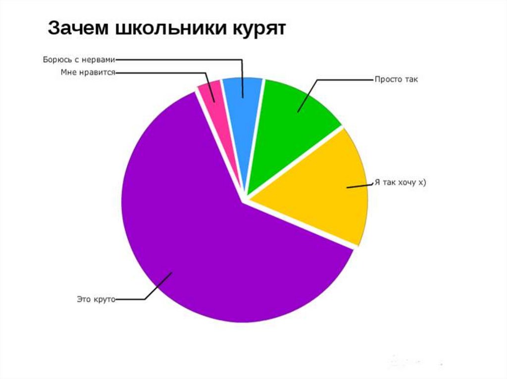 Круговая диаграмма кошки