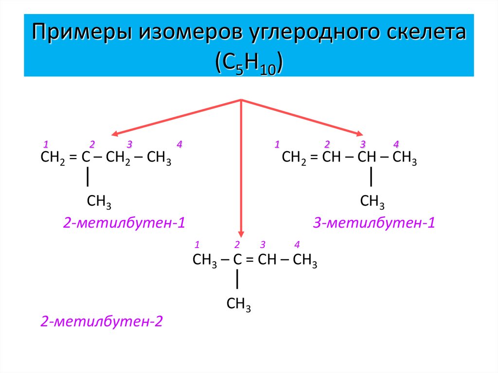 Примеры изомеров углеродного скелета (С5Н10)