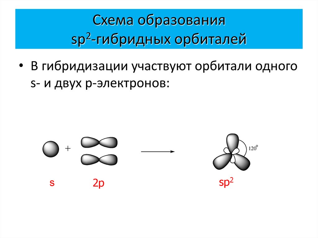 Схема образования sp2-гибридных орбиталей