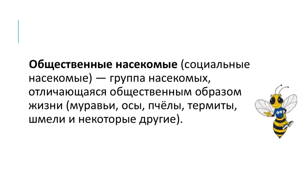 Общественные насекомые образ жизни