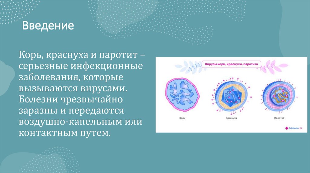 Корь краснуха паротит название