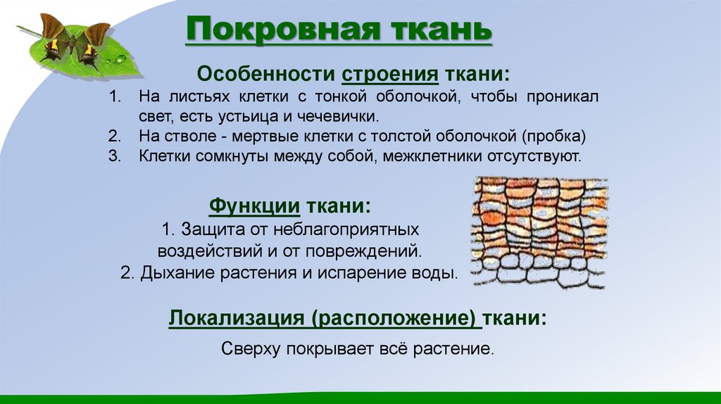 Покровная ткань