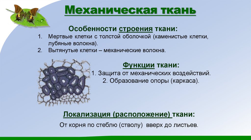 Механическая ткань
