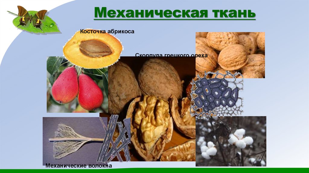 Механическая ткань