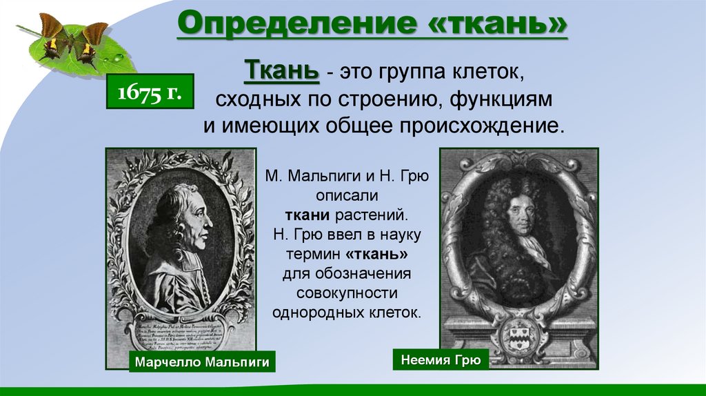 Определение «ткань»