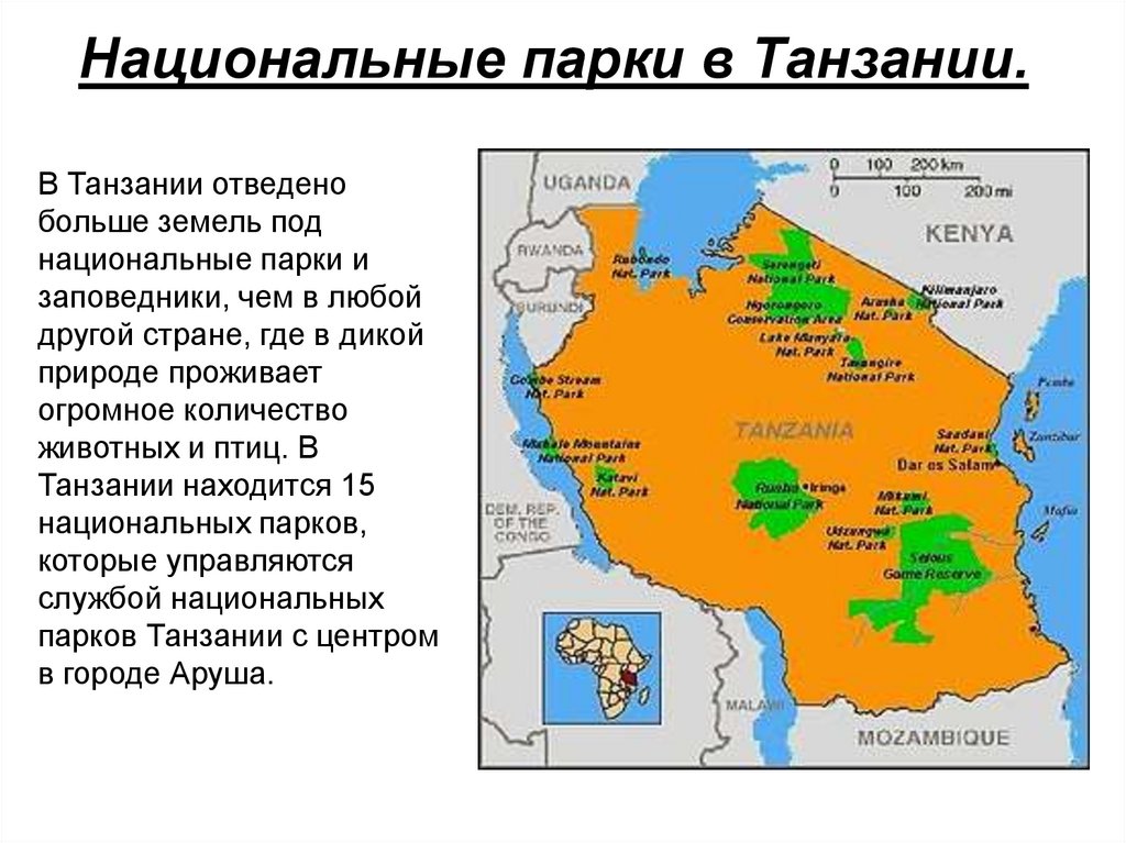 Разработка проекта создание национального парка в танзании