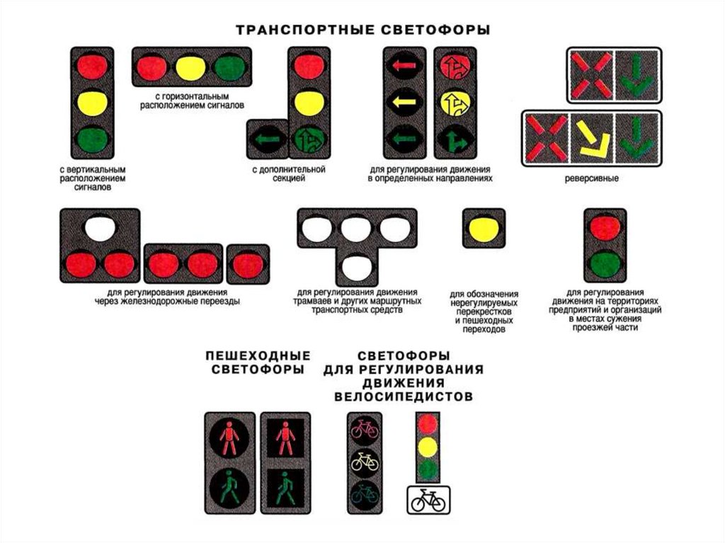 Светофоры пдд в картинках и с пояснениями