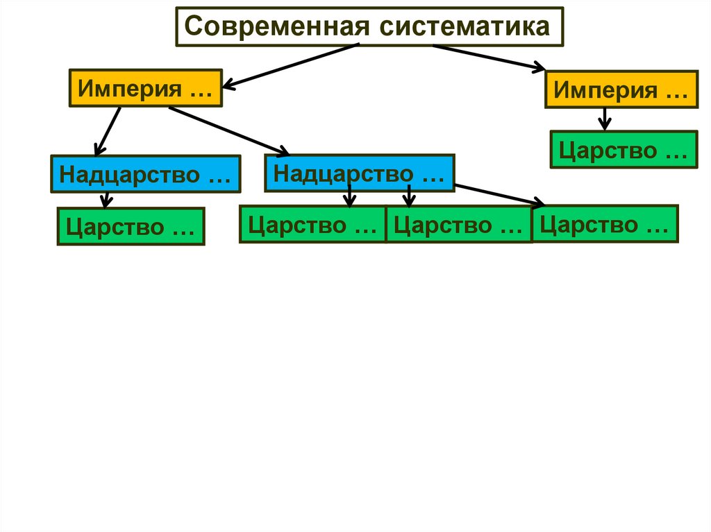 Единство и многообразие органического мира презентация