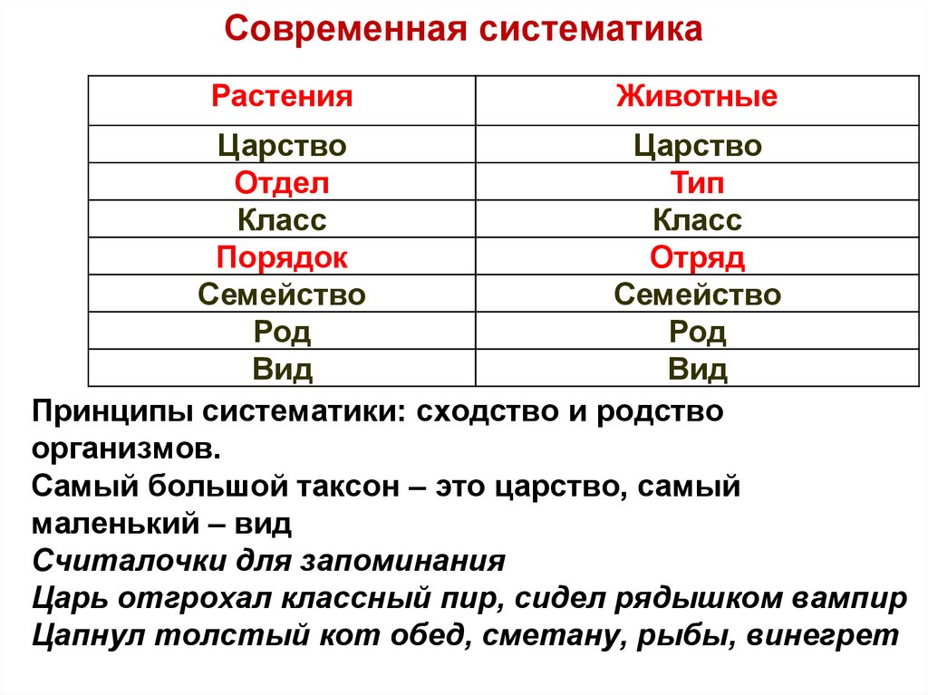 Единство и многообразие органического мира презентация