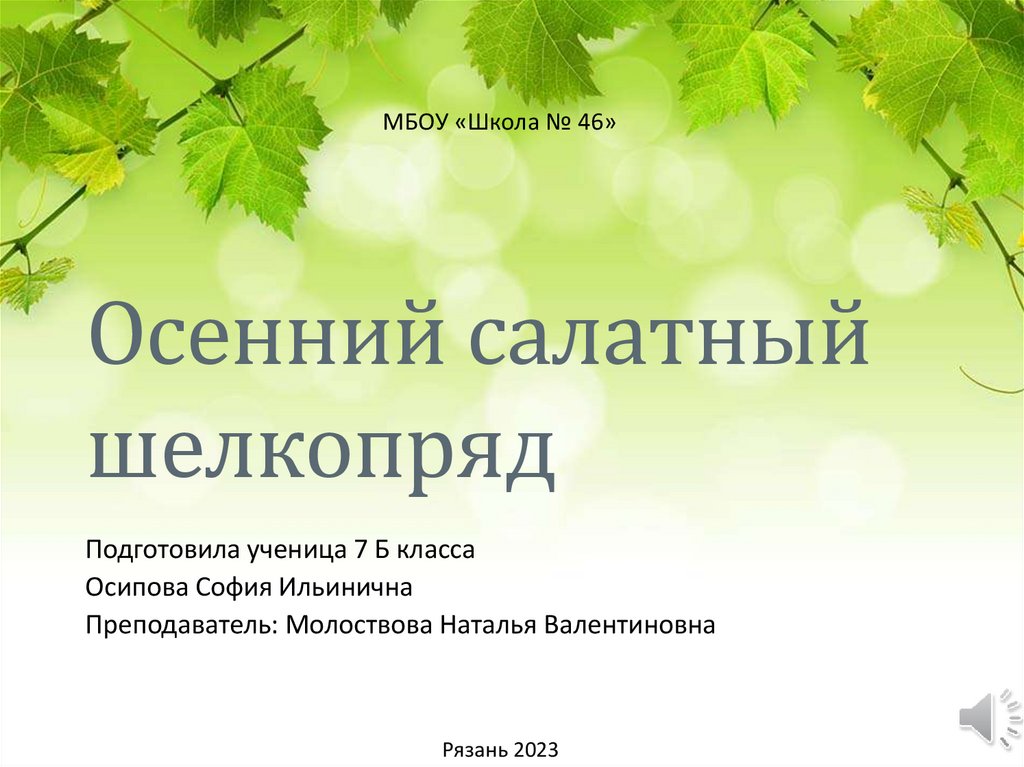 Появление при демонстрации презентации объектов слайда в определенной последовательности