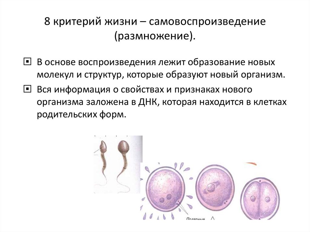 Критерий 8