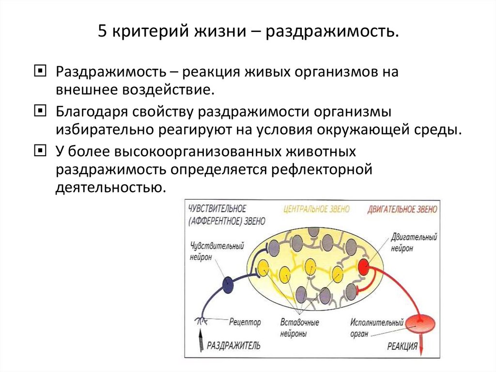 Критерии жизни