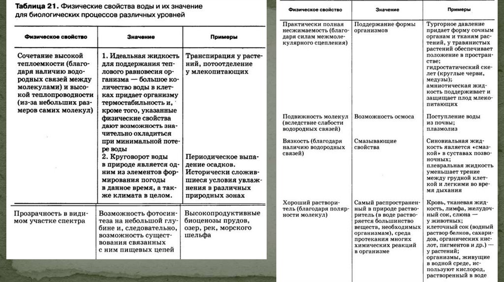§7. Вода и минеральные соли - презентация онлайн