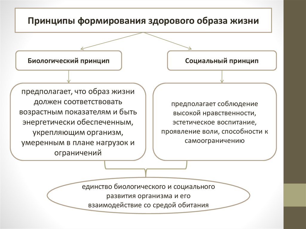 Основы российского законодательства. Принципы формирования ЗОЖ. Основы формирования здорового образа жизни. Основы законодательства РФ В области формирования ЗОЖ. Научные принципы формирования ЗОЖ.