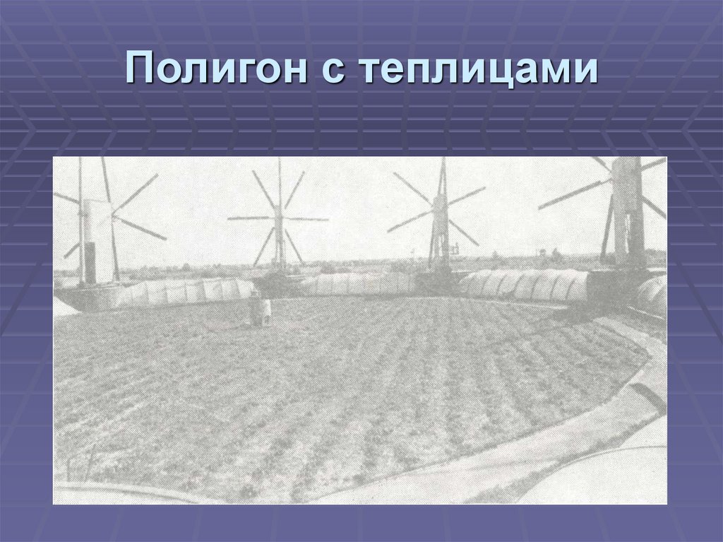 Полигон с теплицами