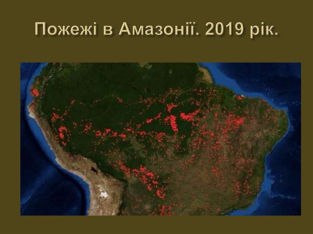 Пожежі в Амазонії. 2019 рік.