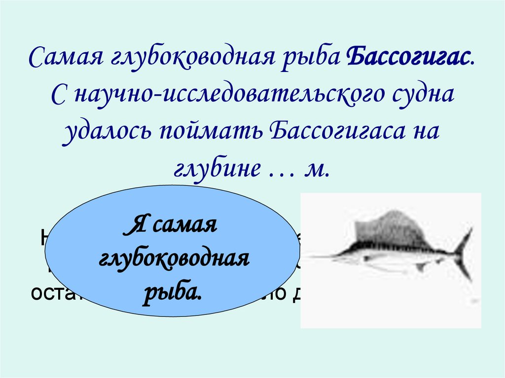 Наибольшую глубину имеет. Бассогигас рыба глубоководная. Бассогигас самая глубоководная. Рыба бассогигас сообщение на какой глубине обитает. Доклад про рыбу бассогигас.