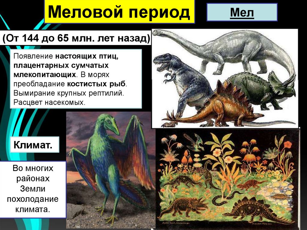 Формирование залежей каменного угля возникновение первых рептилий. Расцвет млекопитающих. Эра и период появления рептилий. Расцвет пресмыкающихся Эра. Расцвет динозавров появление.