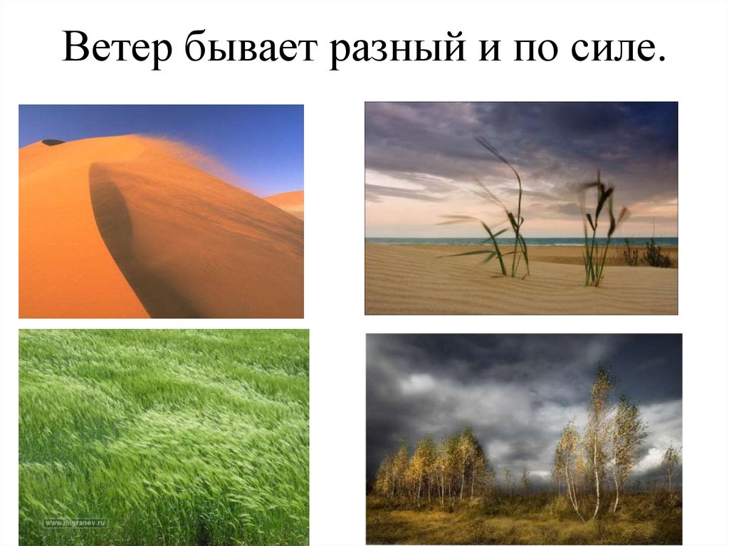 Ветер бывает. Какой бывает ветер картинки. Какие ветры бывают в природе. Ветер разной силы по картинкам.