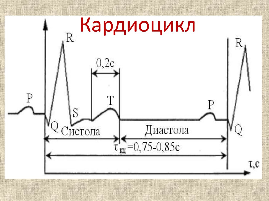 Влияние электрического тока на организм человека проект