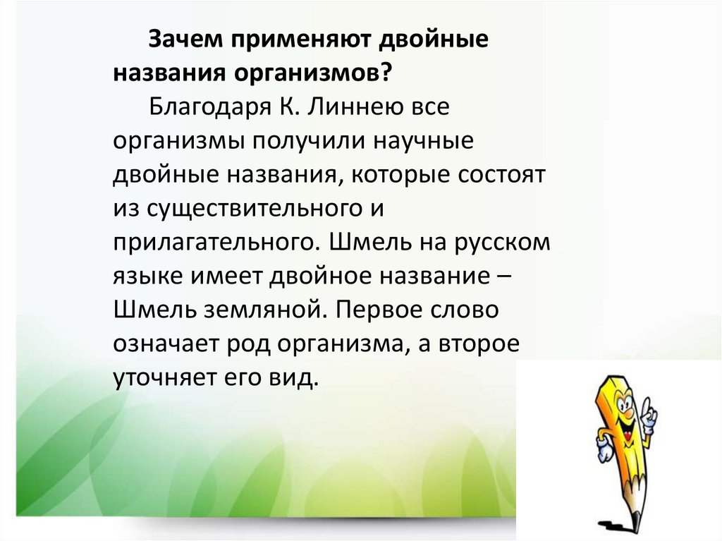 Двойные названия