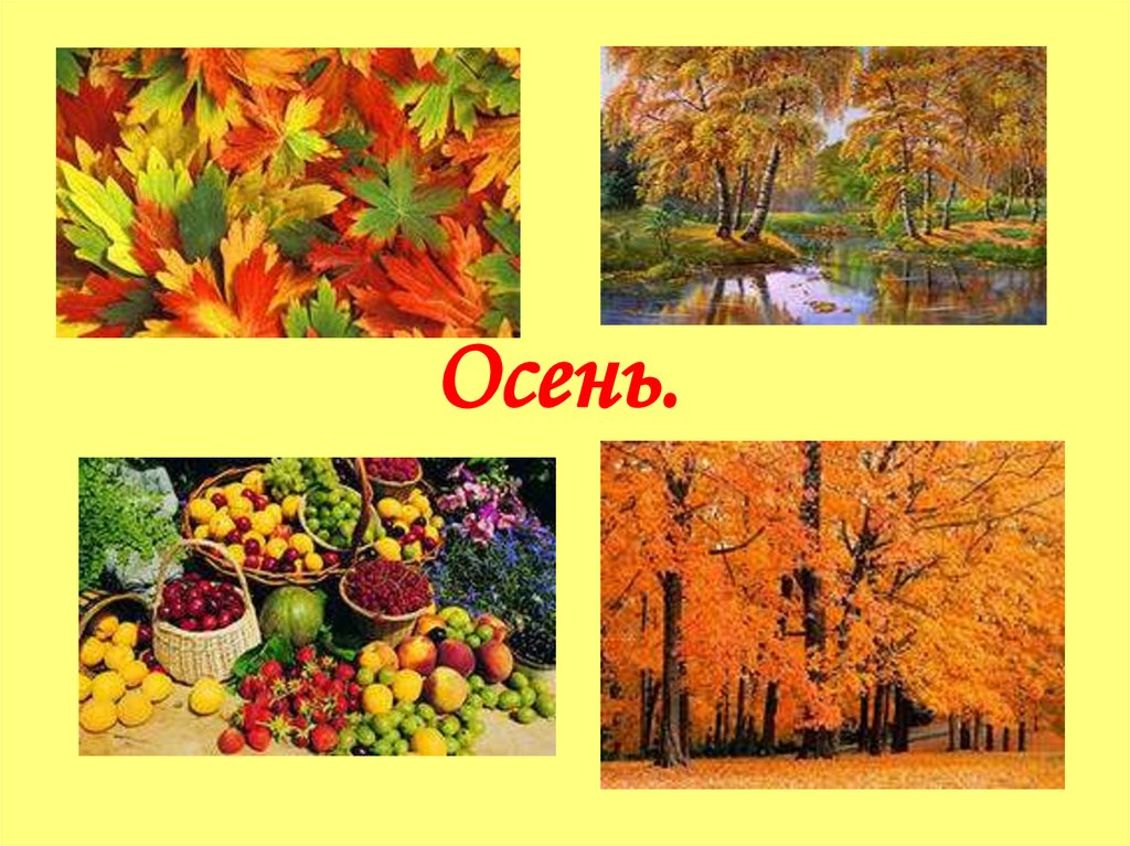 Изменения в неживой природе время года осень