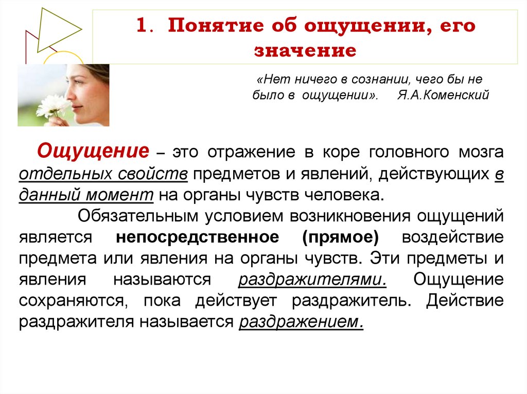 Есть чувства тест. Человек и его ощущения. Общие чувства Хонкай конус.