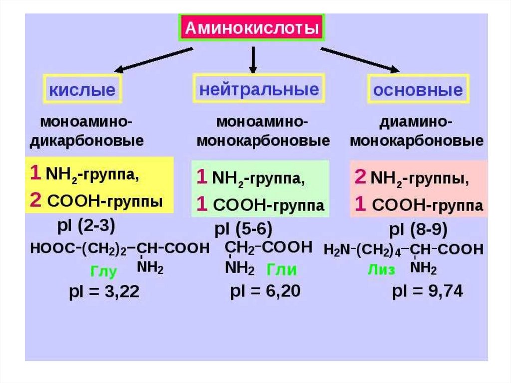 Состав радикалов аминокислот. PH аминокислот формула. Классификация аминокислот клетки. Нейтральные аминокислоты формулы. Кислотность растворов аминокислот.