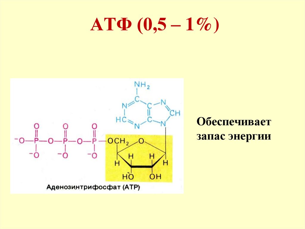 Химическое строение атф. Из чего состоит АТФ. Хим строение Бора. Структура Pet met хим строение. Химическое строение Гама.