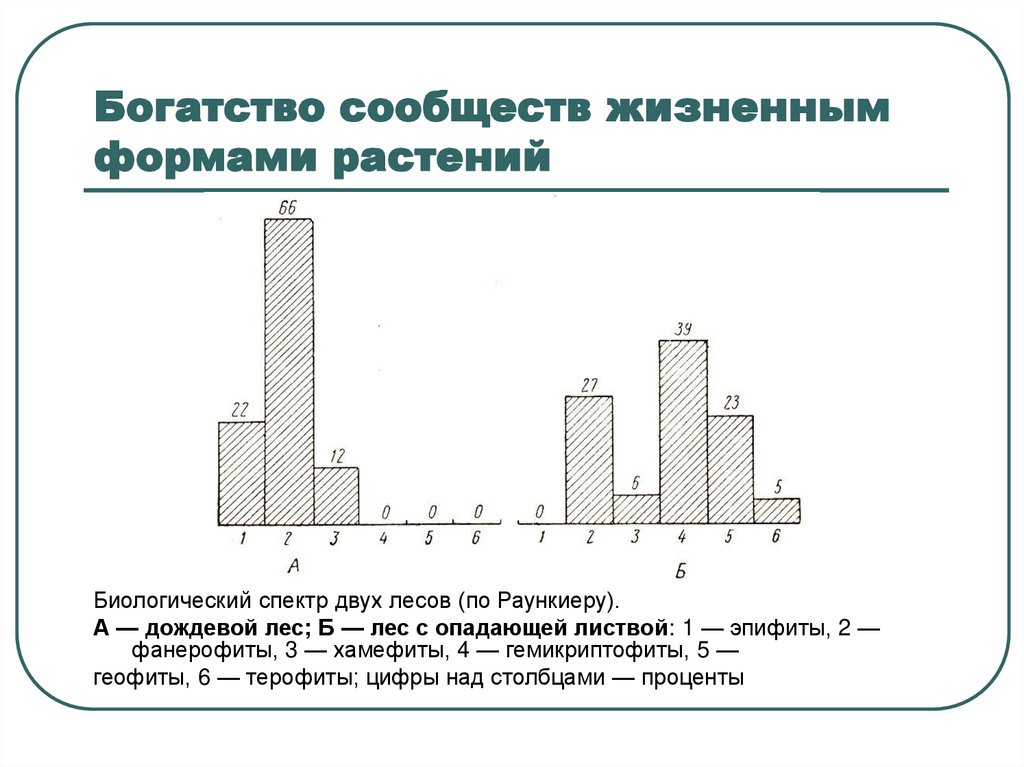 Уровни видового разнообразия