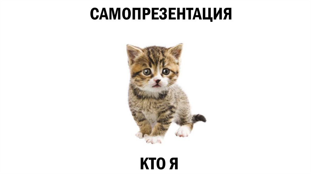 САМОПРЕЗЕНТАЦИЯ - online presentation