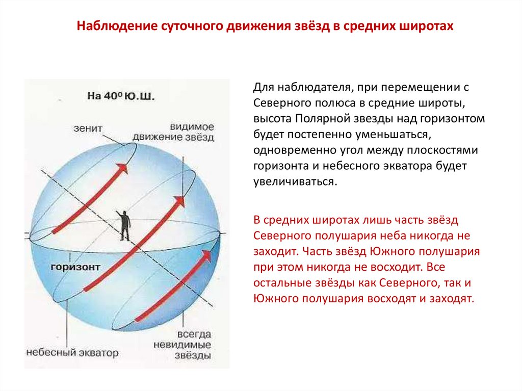 Видимое движение звезд на различных географических широтах презентация