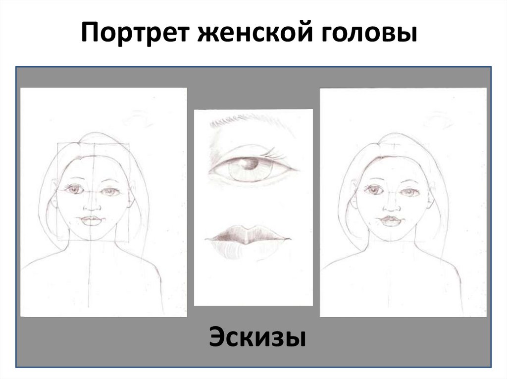 Строю какое лицо. Схема построения лица. Лица для презентации. Схема построения женского лица при художественном. Образ лица построение света.