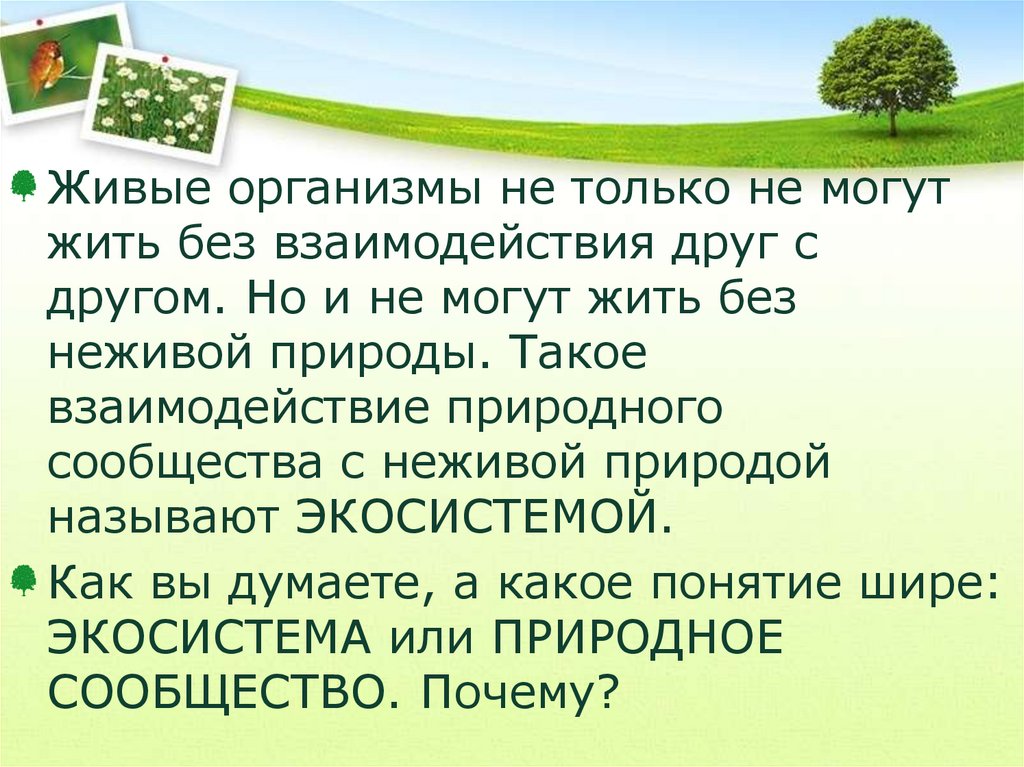 Понятие о природном сообществе 6 класс биология презентация