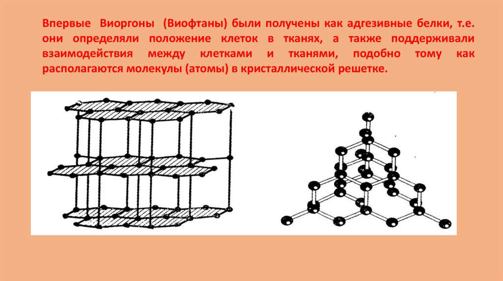 ВИОРГОНЫ.Инсульт.ЕКб.29.04.23г - презентация онлайн