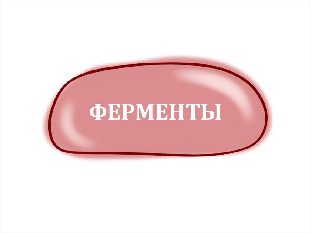 Ферменты - презентация онлайн