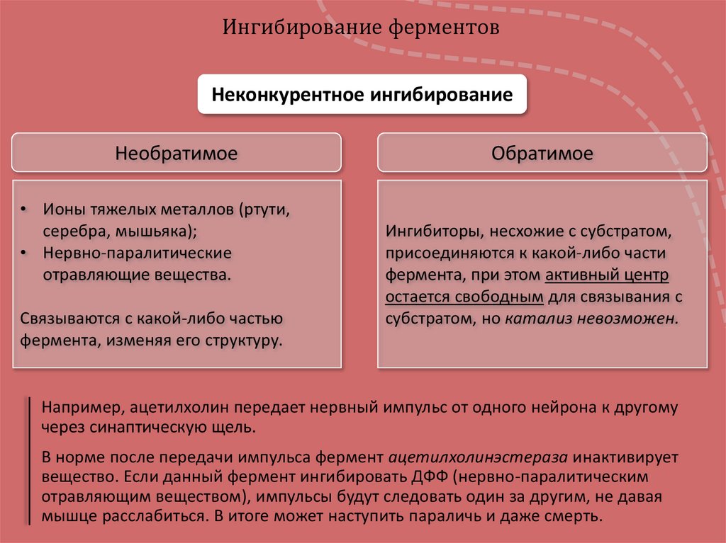 Ферменты - презентация онлайн