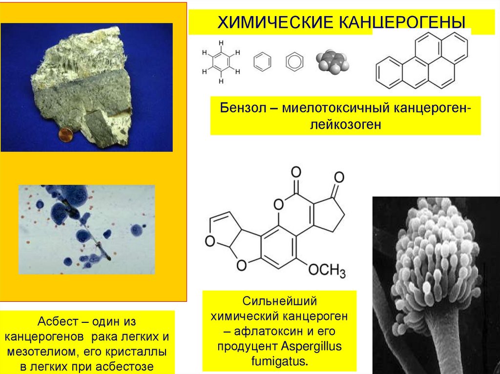 Химические канцерогены. Химические канцерогены опухоли. Химические соединения канцерогенов. Бензол канцероген.