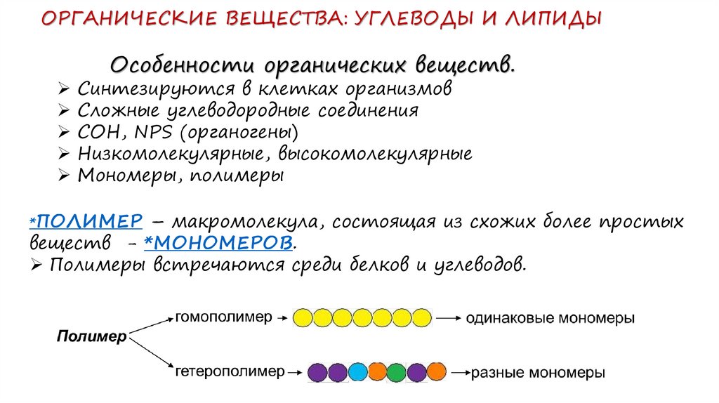 4 органические вещества клетки углеводы липиды