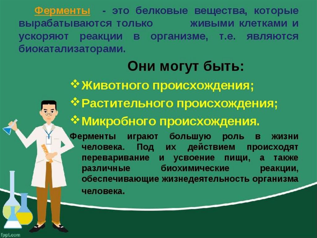 Энзимы что это простыми словами. Ферменты это. Что такое ферменты в биологии кратко. Ферменты это простыми словами. Энзимы химия.