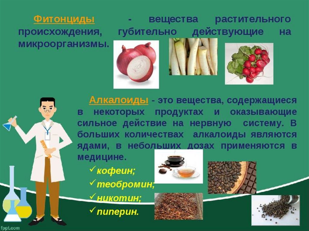 Примеры растительного происхождения. Вещества растительного происхождения. Продуктов питания растительного происхождения. Растительная и животная пища. Химия в пищевых продуктах.