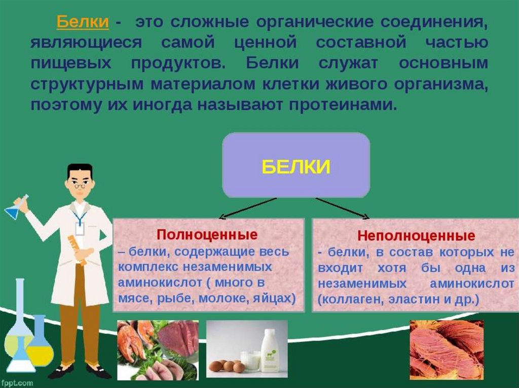 Продуктами являются вещества. Белки этот. Белки это сложные органические вещества. Органические вещества Товароведение. Белки это сложные органические.