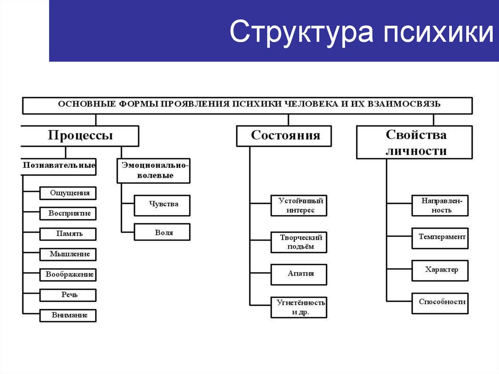 Структура психики