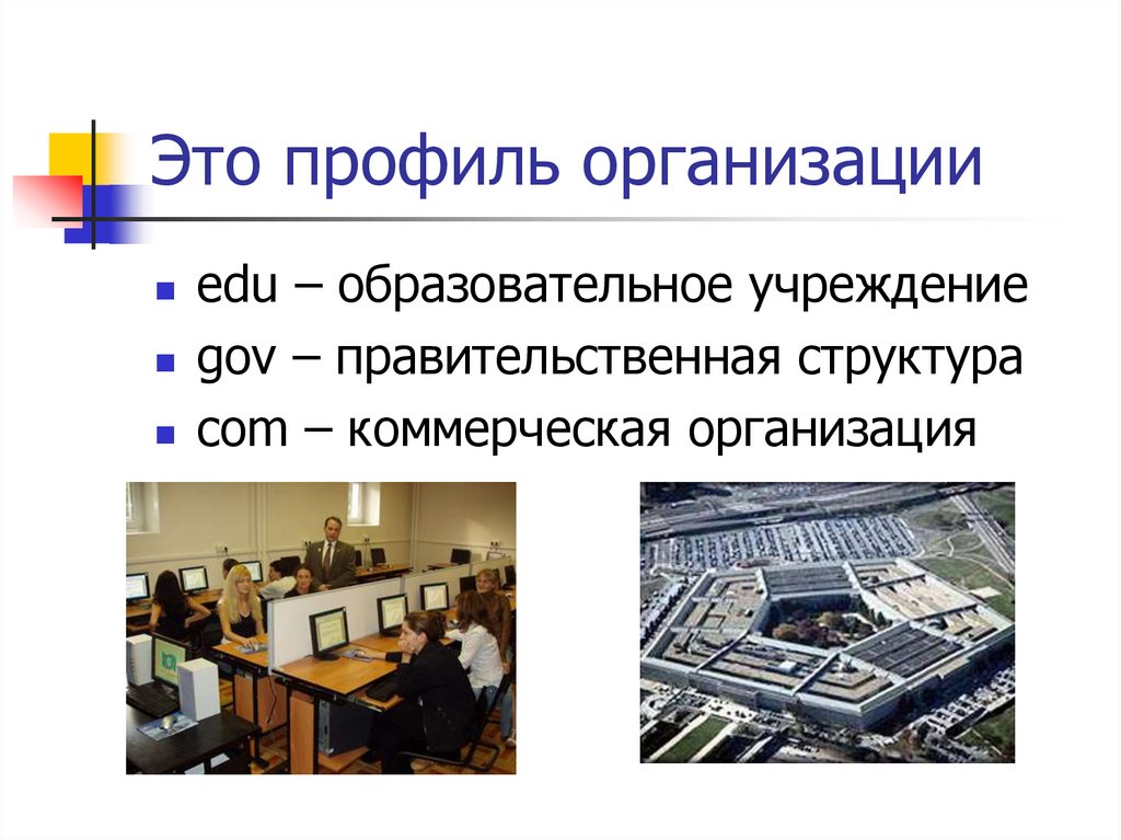 Виды профильных организаций. Профильная организация это. Профиль организации образования. Профиль организации это. Профильные компании это.